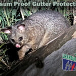 Possum Proof Gutter Protection