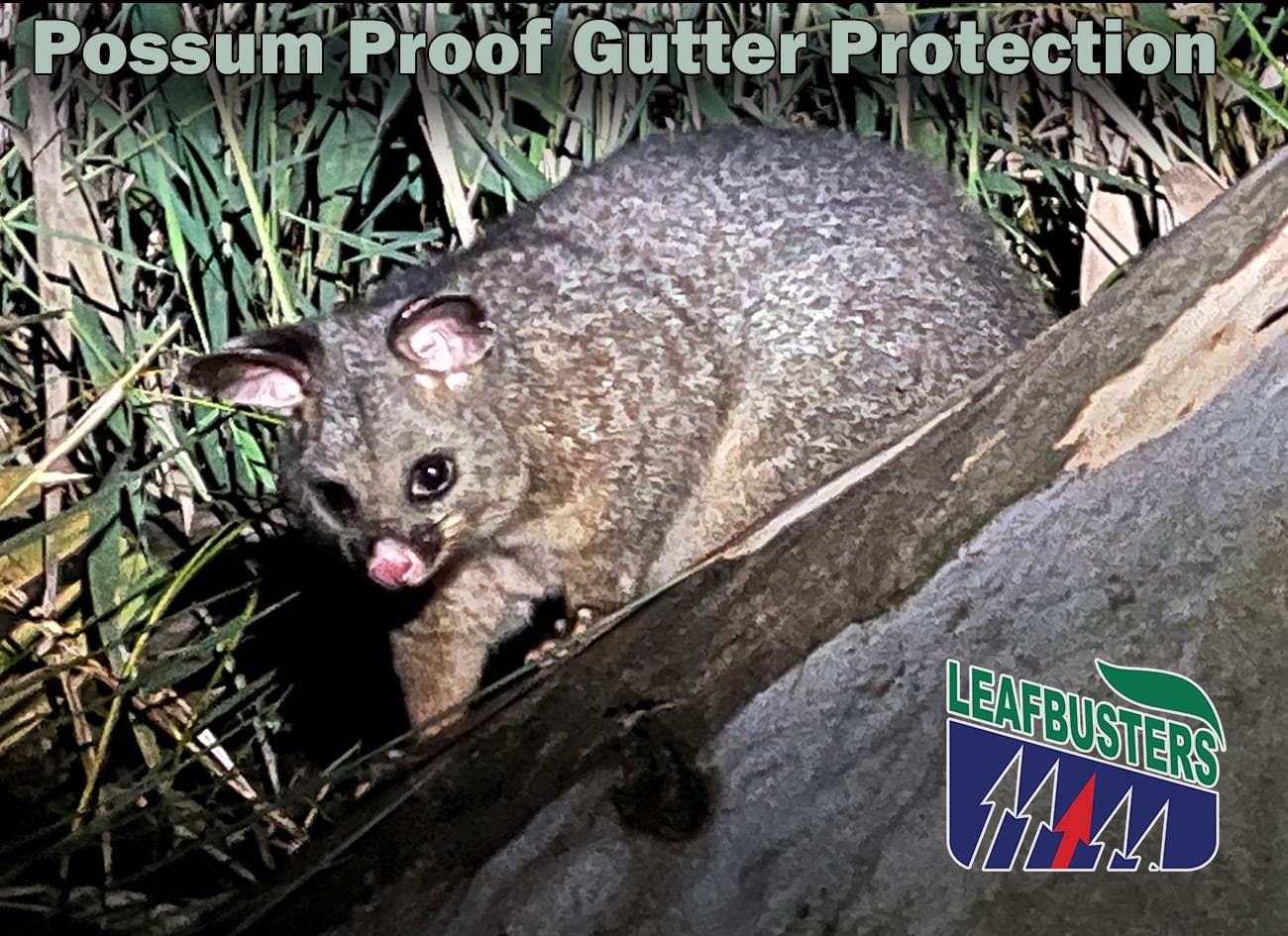 Possum Proof Gutter Protection