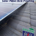 Solar Panel Bird Proofing